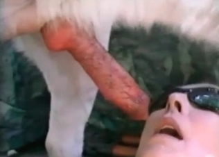 Babe in the sunglasses is swallowing doggy's sperm