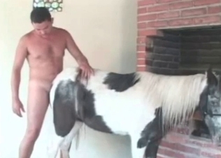 Animal's tight anus is so freaking comfortable