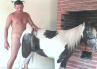 Animal's tight anus is so freaking comfortable