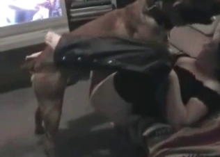 Dog licker is giving this cutie a nice oral treatment