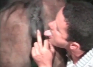 Crazy naughty zoophile is sucking a juicy horse ass