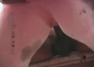 Doggy with the innocent eyes fucks with a black guy
