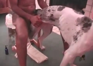 Doggy with the innocent eyes fucks with a black guy