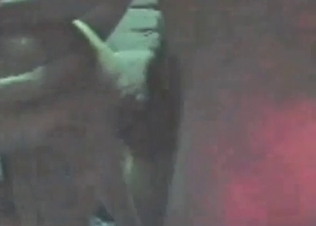 Doggy's pink anus is being drilled in the POV video