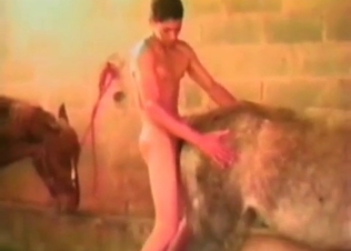 Dude with a big boner fucks an animal from behind