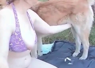 Playful young hound enjoys outdoor animal porn