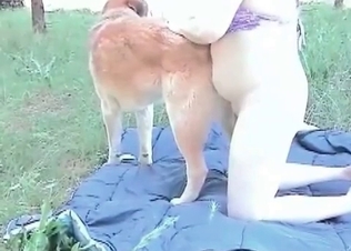 Playful young hound enjoys outdoor animal porn