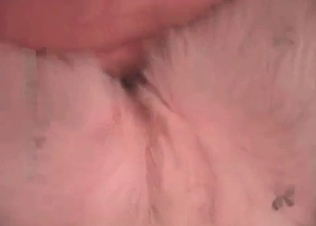 Sweet anal penetration in the zoophile movie
