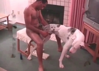 Innocent doggy is being pleased and fucked hard