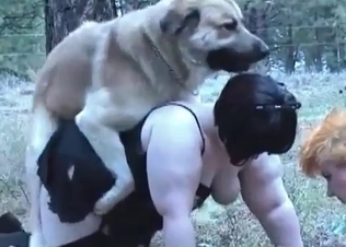 Two fat zoophiles are fucking with the dogs in the forest