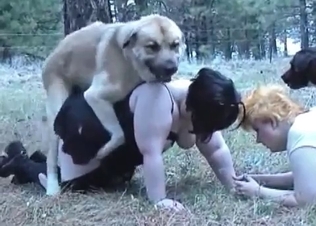 Two fat zoophiles are fucking with the dogs in the forest