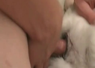 Nasty zoophilia action in the close up zoo porn video