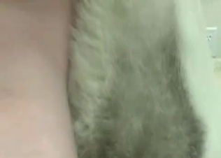 Nasty zoophilia action in the close up zoo porn video