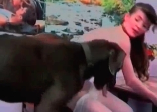 Giant dark Doberman drills her snatch so deep