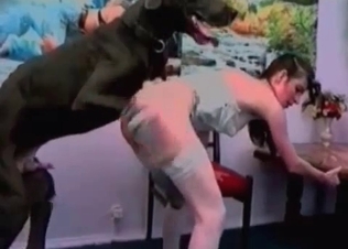 Giant dark Doberman drills her snatch so deep
