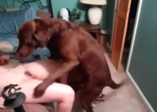 Masked redhead slut is getting pounded by a Doberman
