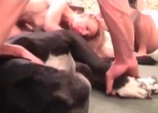 Three crazy zoophiles are playing with a doggy