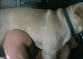 Slutty chick is playing with a nice-looking doggy