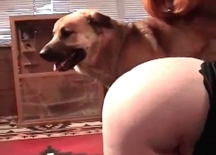 Retriever drills her little twat so freaking hot