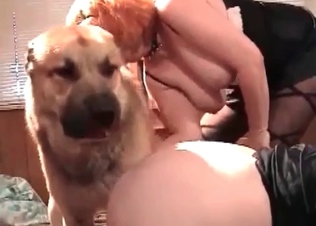 Retriever drills her little twat so freaking hot