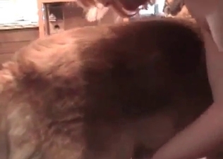 Retriever drills her little twat so freaking hot