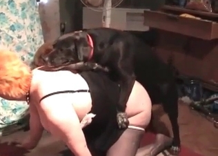 Awesome retriever drills her wide-opened twat