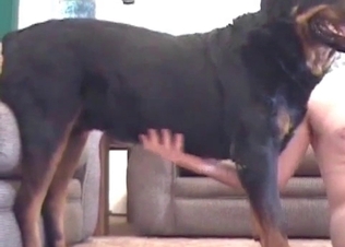 Hound bangs a nice woman in her little twat