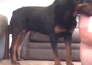 Hound bangs a nice woman in her little twat