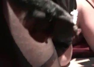 Redhead slut is playing with a nice young doggy