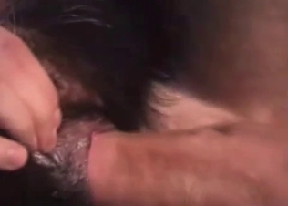 Small black pet is being fucked in the ass