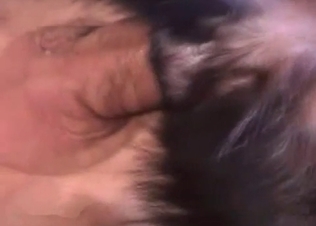 Small black pet is being fucked in the ass