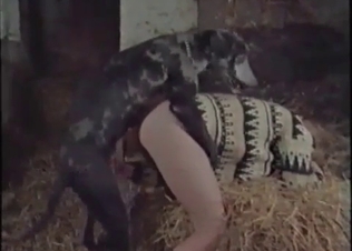 Dog fucker is having sex with a passionate slut