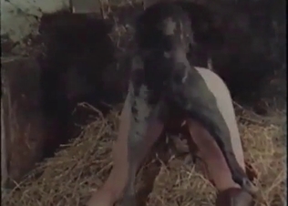 Dog fucker is having sex with a passionate slut