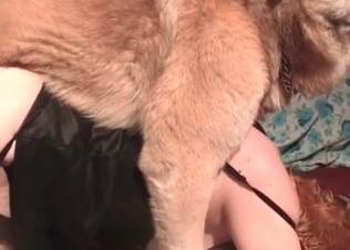 Zoophile chick is getting an awesome bestial creampie
