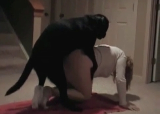 This playful doggy knows how to fuck and suck
