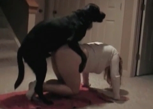 This playful doggy knows how to fuck and suck