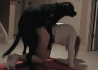 This playful doggy knows how to fuck and suck