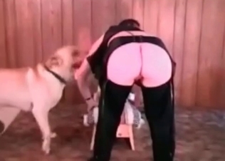 Lil hound is giving this babe a nice oral treat
