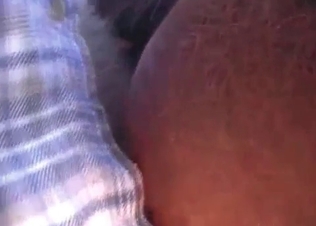 Horse is being drilled by a brutal zoophile