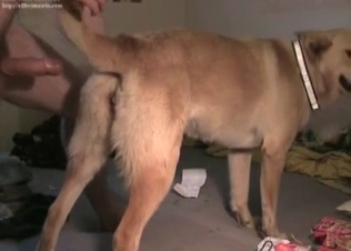 Sexy amateur zoophile fucks his own doggy