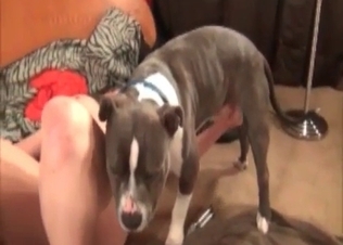 Filthy as fuck bestial sex in the amateur zoo porn