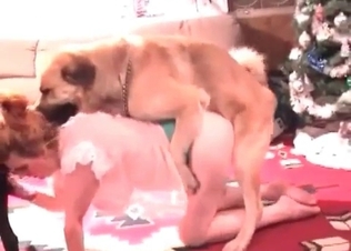 Redhead is having sex with the two young dogs
