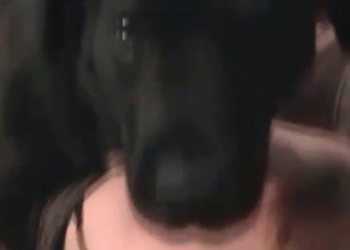 Hardcore sex with a nice doggy in the bedroom