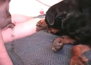 Black doggy is really enjoying dirty sex
