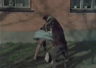 Pig is being pounded by a hardcore farmer