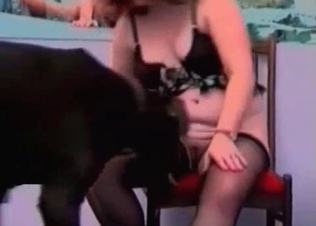 Redhead zoo slut is playing with her Doberman