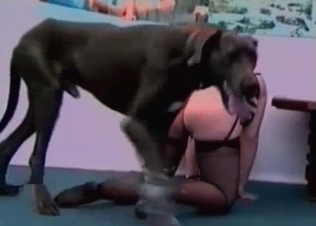 Redhead zoo slut is playing with her Doberman