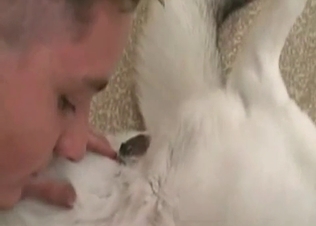 Hairy white husky is getting a juicy blowjob