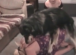Hairy puppy fucks her juicy puss so hard