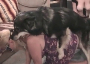 Hairy puppy fucks her juicy puss so hard